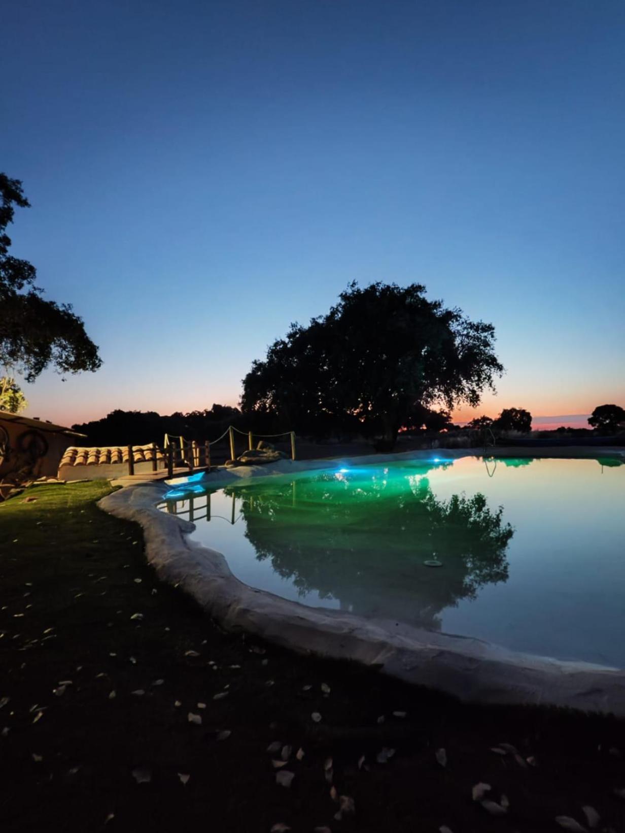 Rucanon 2 La Casa Del Campo 4 Estrellas, Piscina Y Golf Montánchez Eksteriør billede